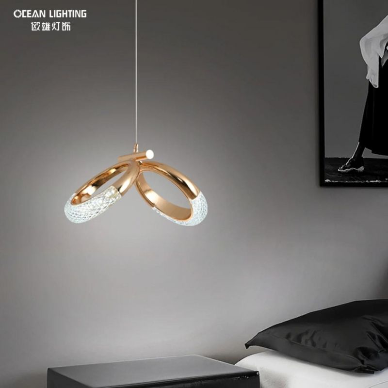Indoor Pendant Lamp Clear Acrylic Modern Luxury Pendant Light