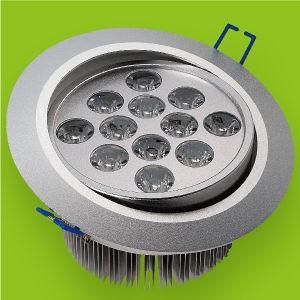 12W LED Downlight / LED Down Light (RAY-015W12)