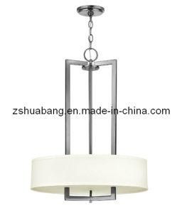 Modern Iron Pendant Lamp (HBP-7001)