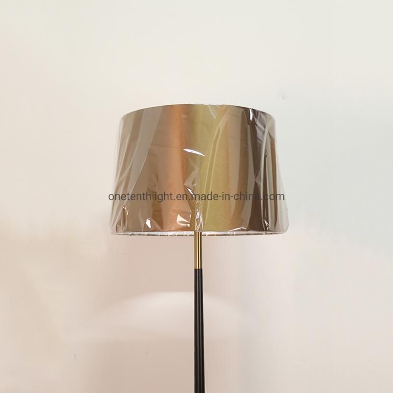 Metal Body in Black and Brass Finish Floor Lamp