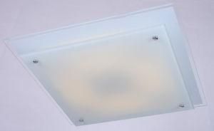 LED Ceiling Lamp / Ceiling Light / Ceiling Lamp