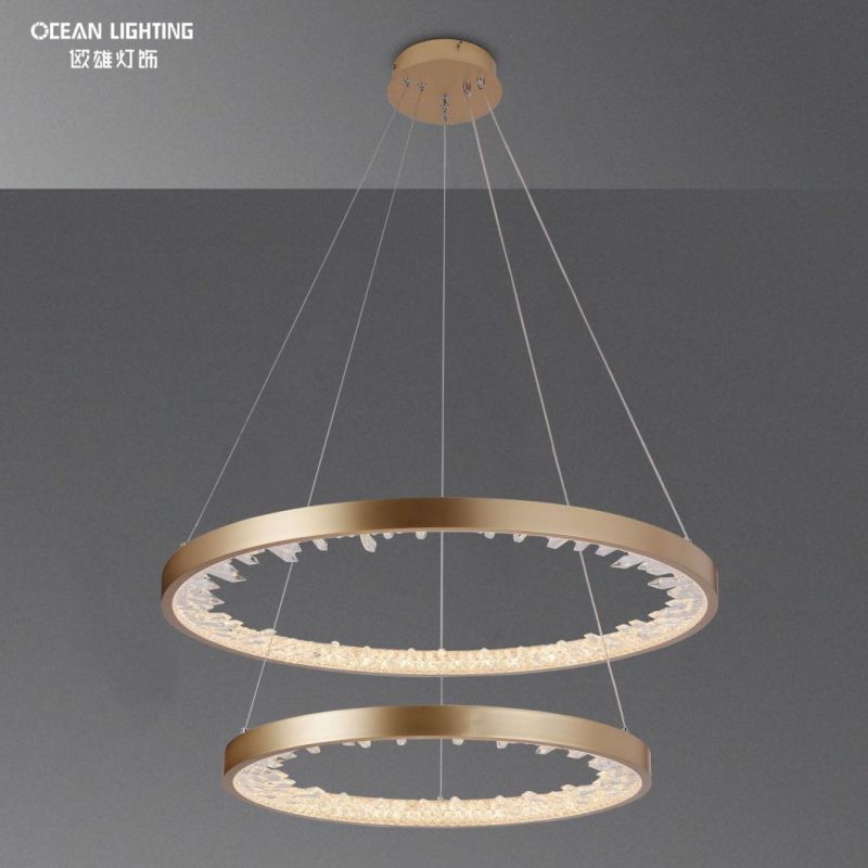 Modern Aluminum Iron Acrylic Pendant Light Indoor Decorative Pendant Lighting for Home Hotel