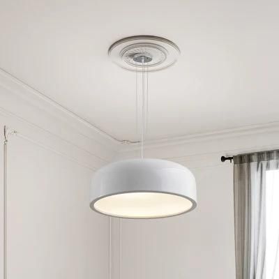 Concise Design Pendant Lamp Ceiling Lamp Chandelier Restaurant Lamp Bedroom Lamp