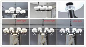 Suction-Hanging Dual-Purpose Chandelier