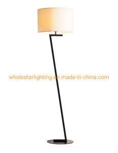Modern Metal Floor Lamp with Fabric Shade (WHF-2214)