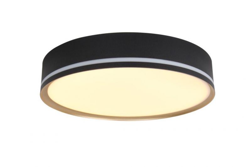 Masivel Lighting Living Room LED Ceiling Light Modern Stylist LED Lighting