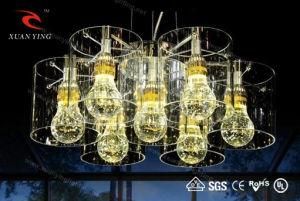 Unique LED Crystal Ceiling Lamps with Crystal Bulb Shape (Mx20300-7)