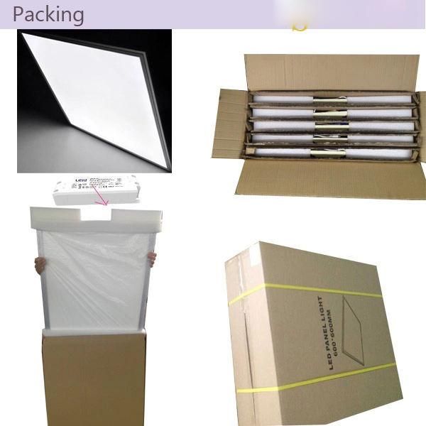 LED Flat Panel Lighting 620*620/595*595mm LED Panel for European Market