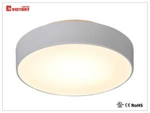 Simple Indoor Modern Glass Metal Ceiling LED Lamp with Ce Approval