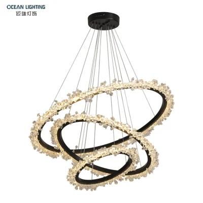 Ocean Lighting Modern Pendant Lights Black Chandelier Clear Glass