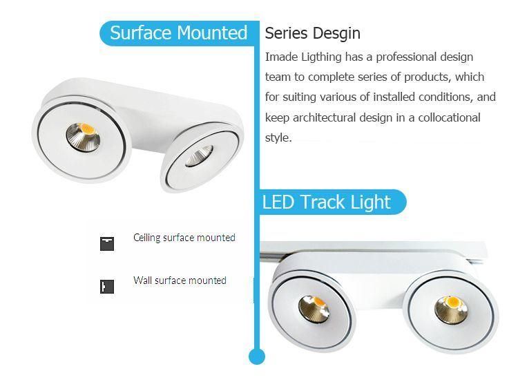 Adjustable 30W Surface Mounted Ceiling Light Ceiling Downlight COB LED Spotlight