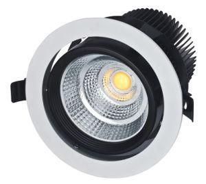 LED Down Light COB 20W LED Down Light