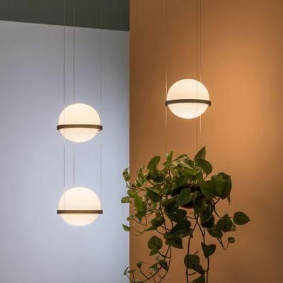 Plant Pendant Lights Modern Long Cord Plants Deco Chandelier Hanging Glass Ball Light (WH-GP-50)