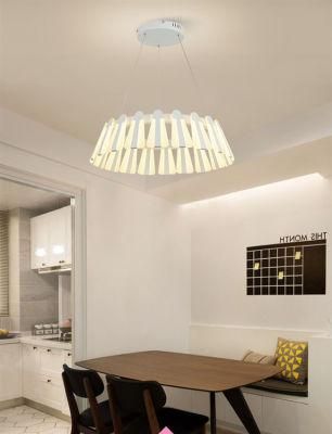 Pendant Lamp Indoor Light Acrylic Modern Lamp