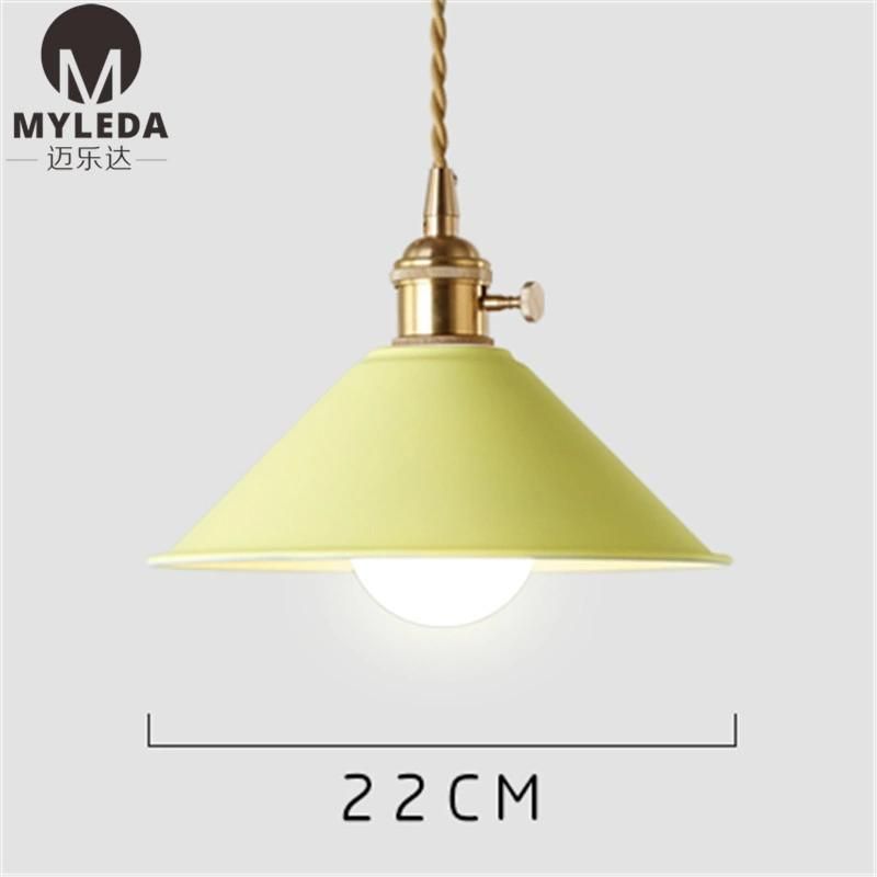 Colorful Metal Hanging Lighting Pendant Lamp for Hotel Restaurant, Dining Room, Club