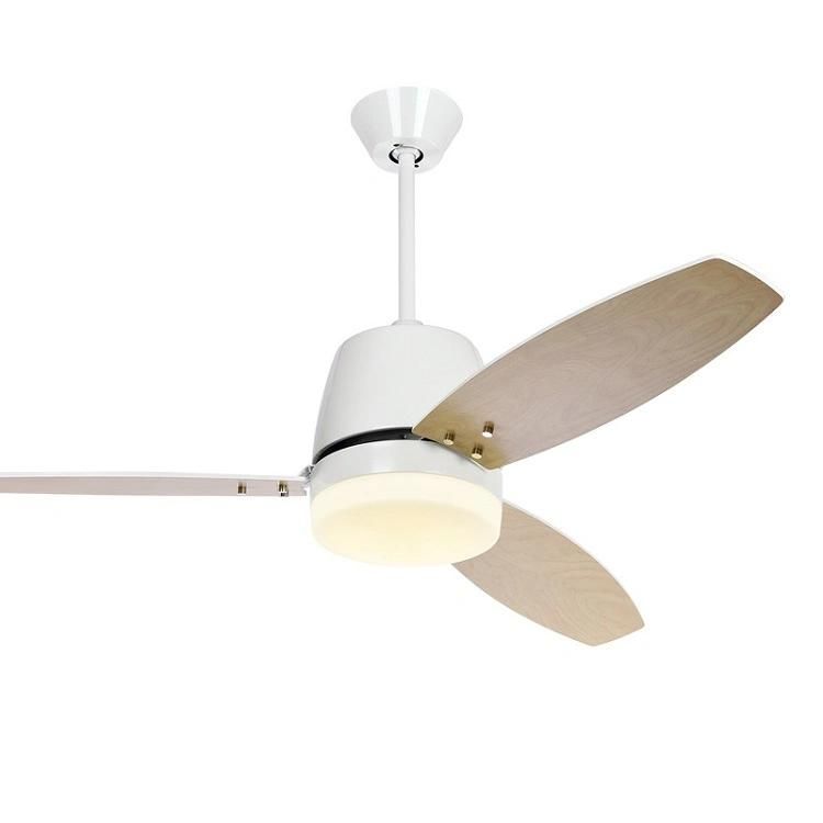 AC Fan Consumption Plywood Blade DC Motor Fancy Ceiling Fan with Light Cooling Fan Electric Fan