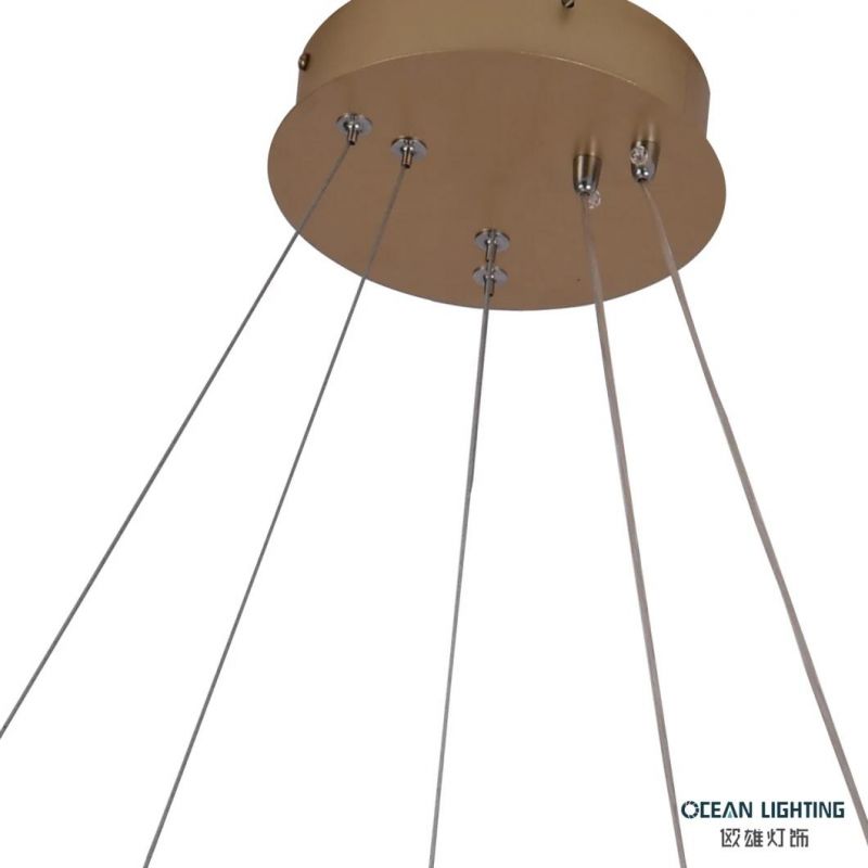 2022 Modern LED Ceiling Pendant Light for Island Om820102A-60+40 2 Ring