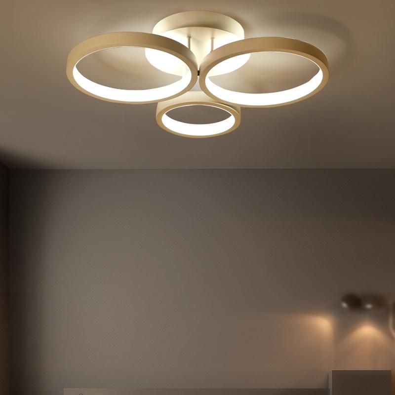 Simple Modern Creative and Individual LED Ceiling Light Household Circle Living Room Lamp