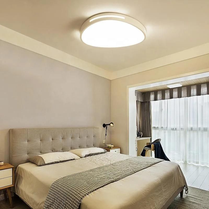 Smart LED Modern Ceiling Light Home Hotel Ceiling Lamp