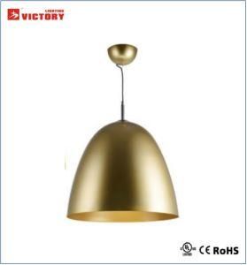 Modern Simple Popular Aluminum Pendant Lamp with Ce Approval