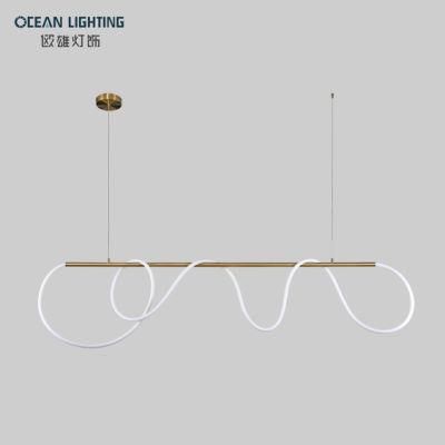 Hanging Lamps for Living Room Modern Pendant Lighting Om82100 L110*H30cm