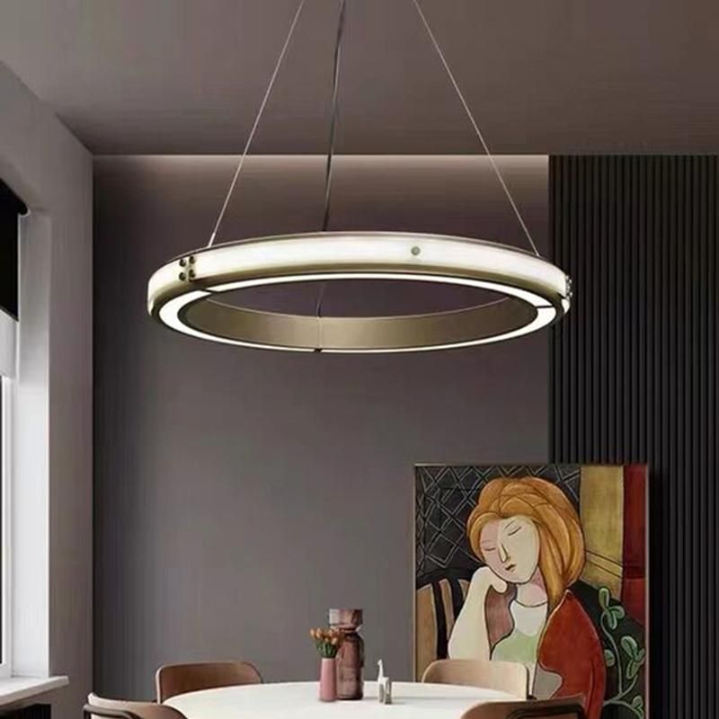Circle Modern Style Simple Design Pendant Lamp Chandelier Living Room Lamp
