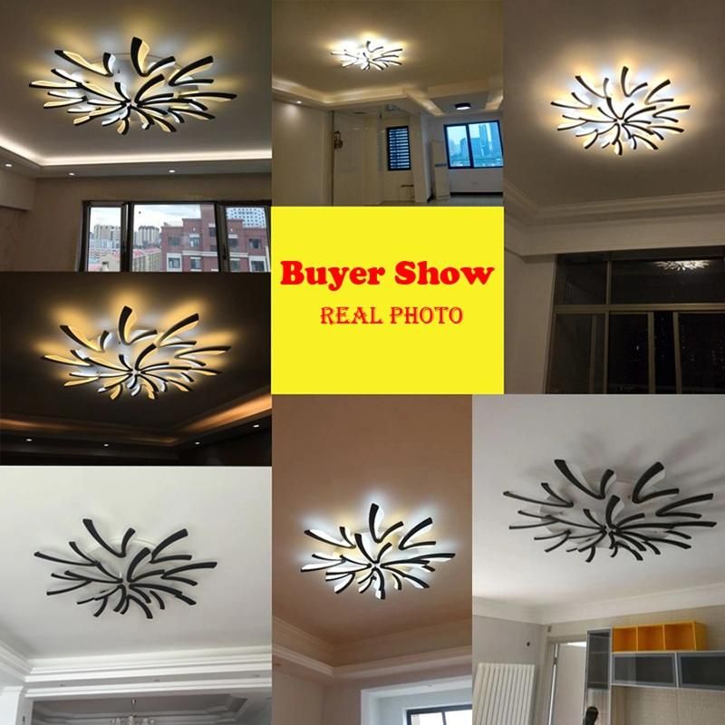 Remote LED Ceiling Lights Modern for Bedroom Dimmer Ceiling Lamps Acrylic Aluminum Body Light Fixture (WH-MA-49)