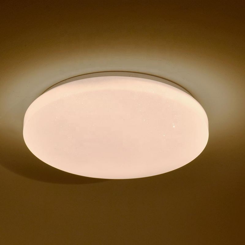 Nordic Modern Indoor Lighting Remote Control LED Round Ceiling Light