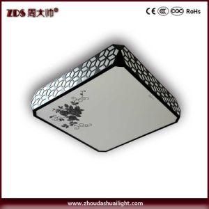 Modern Style LED Ceiling Lamp with CE&RoHS Certificate (ZDS408)