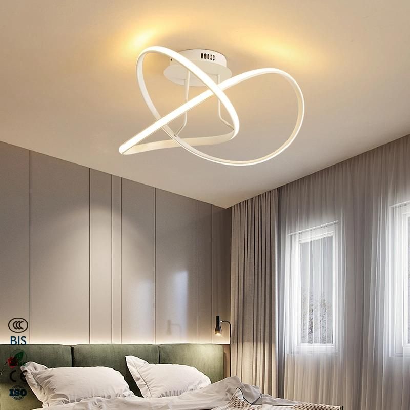 LED Simple Decorative Light Indoor Office Light Luxury Ceiling Light