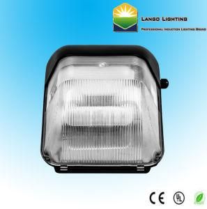 Energy Efficient Light Induction Lamp Wall Pack Lighting (LG0557)