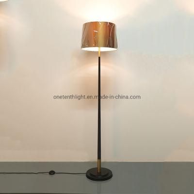 Metal Body in Black and Brass Finish Floor Lamp