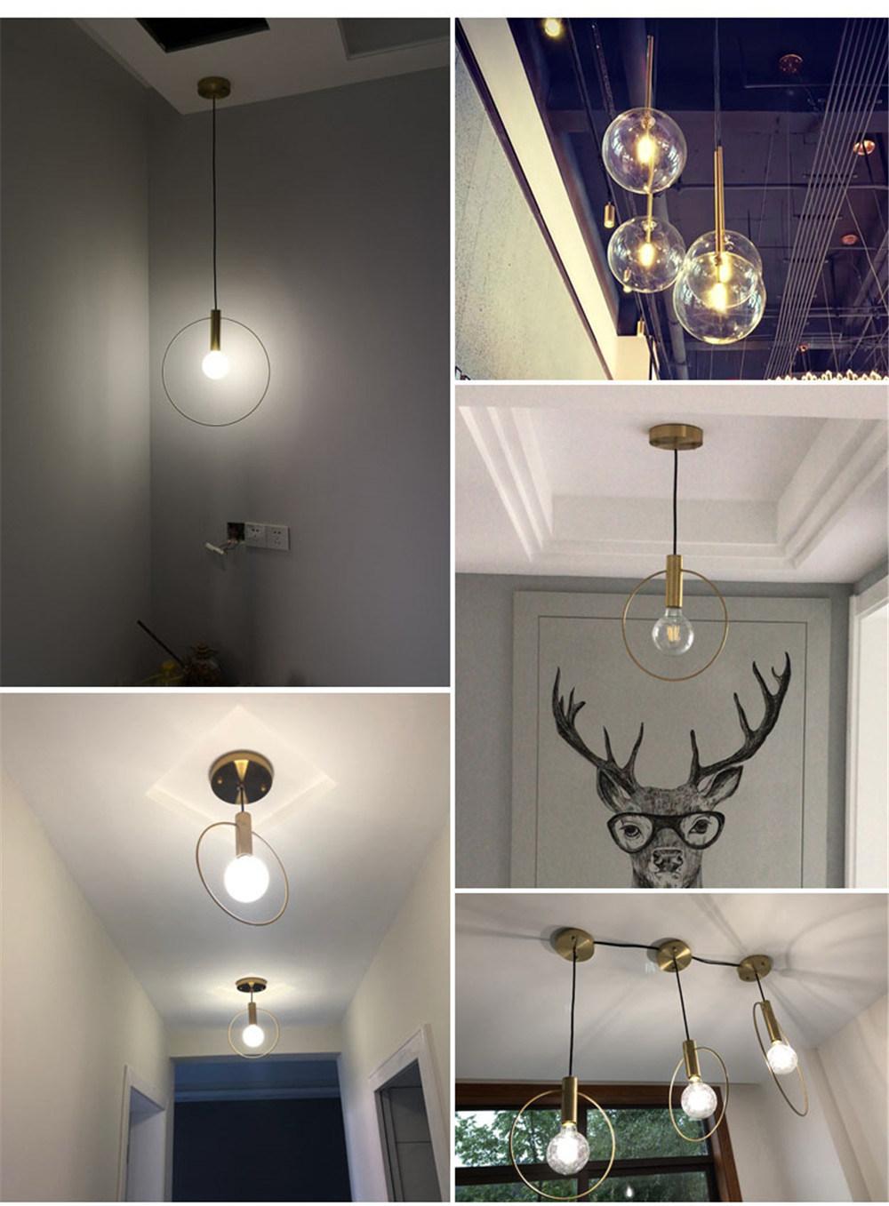Modern Glass Pendant Hanging Fixtures LED Light