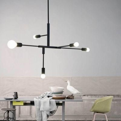 Postmodern Industrial Kitchen Geometric Pendant Lamp Eclectic Eye-Catching Pendant Lamp (WH-AP-340)