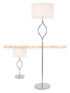 Metal Table Lamp and Floor Lamp (WH-220TF)