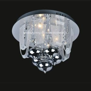 Modern Ceiling Lamp Lights Made in China Em3532-12L