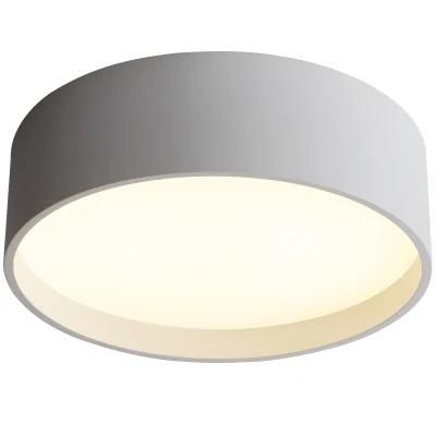 Modern Simple Decorative LED Ceiling Light
