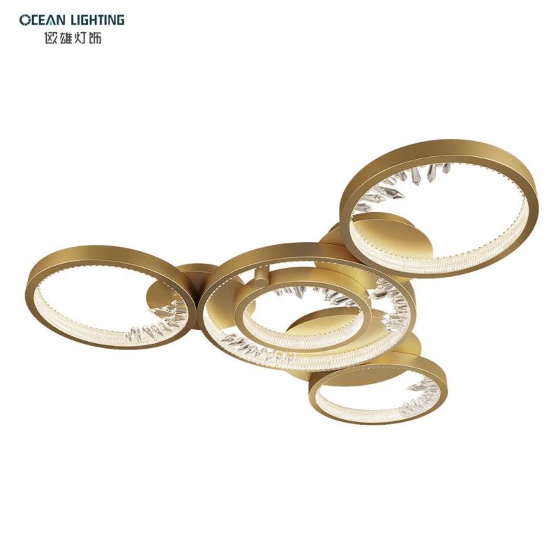 Living Room Indoor Decorative Crystal Zhongshan Ocean Lamp LED Acrylic Ceiling Lamp