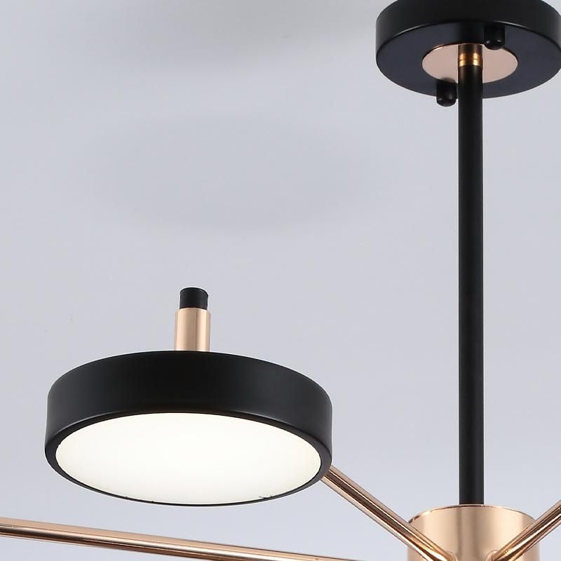 Nordic Style Art Decoration Light LED Panel Pendant Ceiling Indoor Light