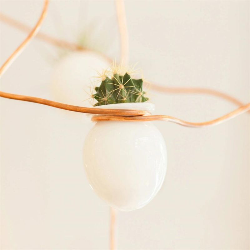 Hanging Glass Round Terrarium for Decoration Clear Glass Hanging Pendant Light