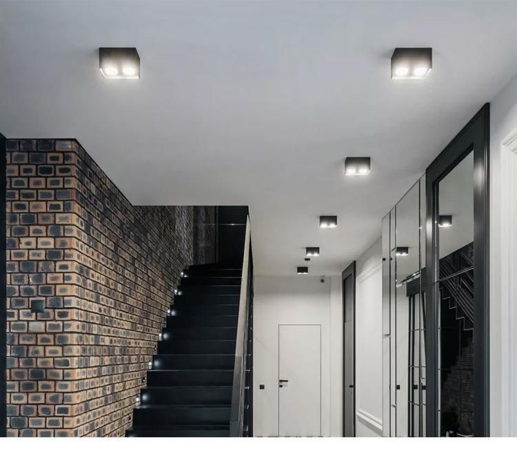 Contemporary Popular Surface Install LED Commercial Black White LED Downlight