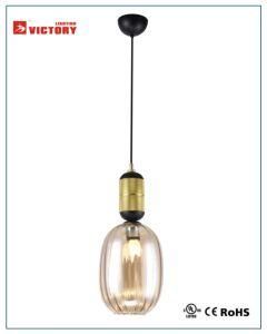 Modern Fashion Metal Pendant Lighting Lamp with E27 Lampholder