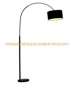 Metal Floor Lamp (WHF-6157)