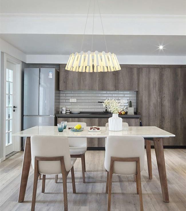 Pendant Lamp Indoor Light Acrylic Modern Lamp