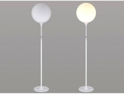 Modern Simple Floor Lamp Acrylic Glass LED Floor Lamp