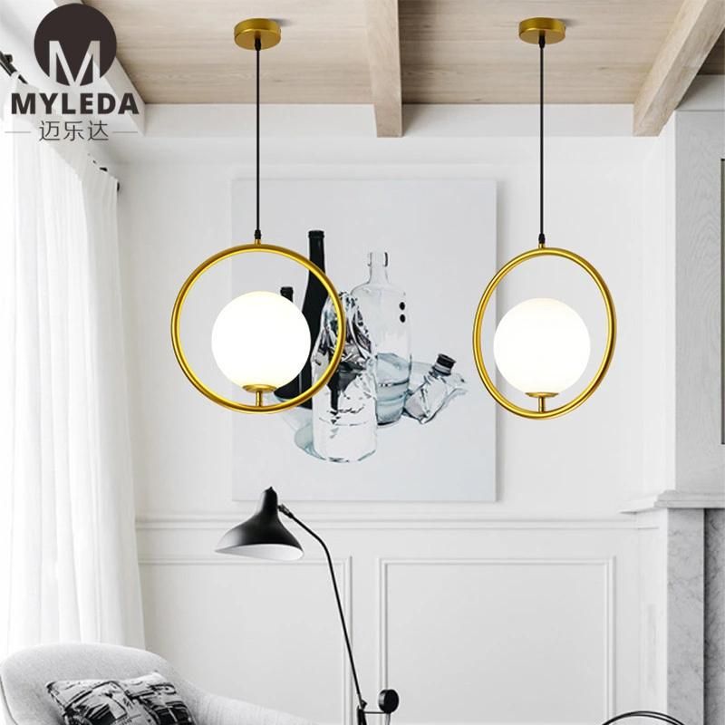 Modern Metal Glass Suspension Style LED Bulb Light Source Pendant Light