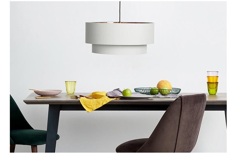 Modern Lamp Round Pendant Light for Living Room Bedroom Hanging Lamp Pendant Light