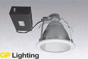 35W/70W/150/250W HID Downlight for Interior/Commercial Lighting (RDG306)
