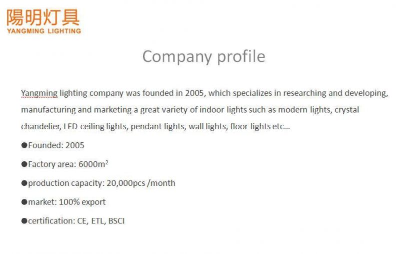 E27/E26 LED Bulb Mother&Son Floor Lamp Acrylic Shade 3 Way Switch Goose Neck to Adjust The Shade and Light