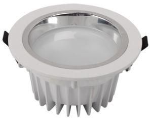 LED Light (DW007)